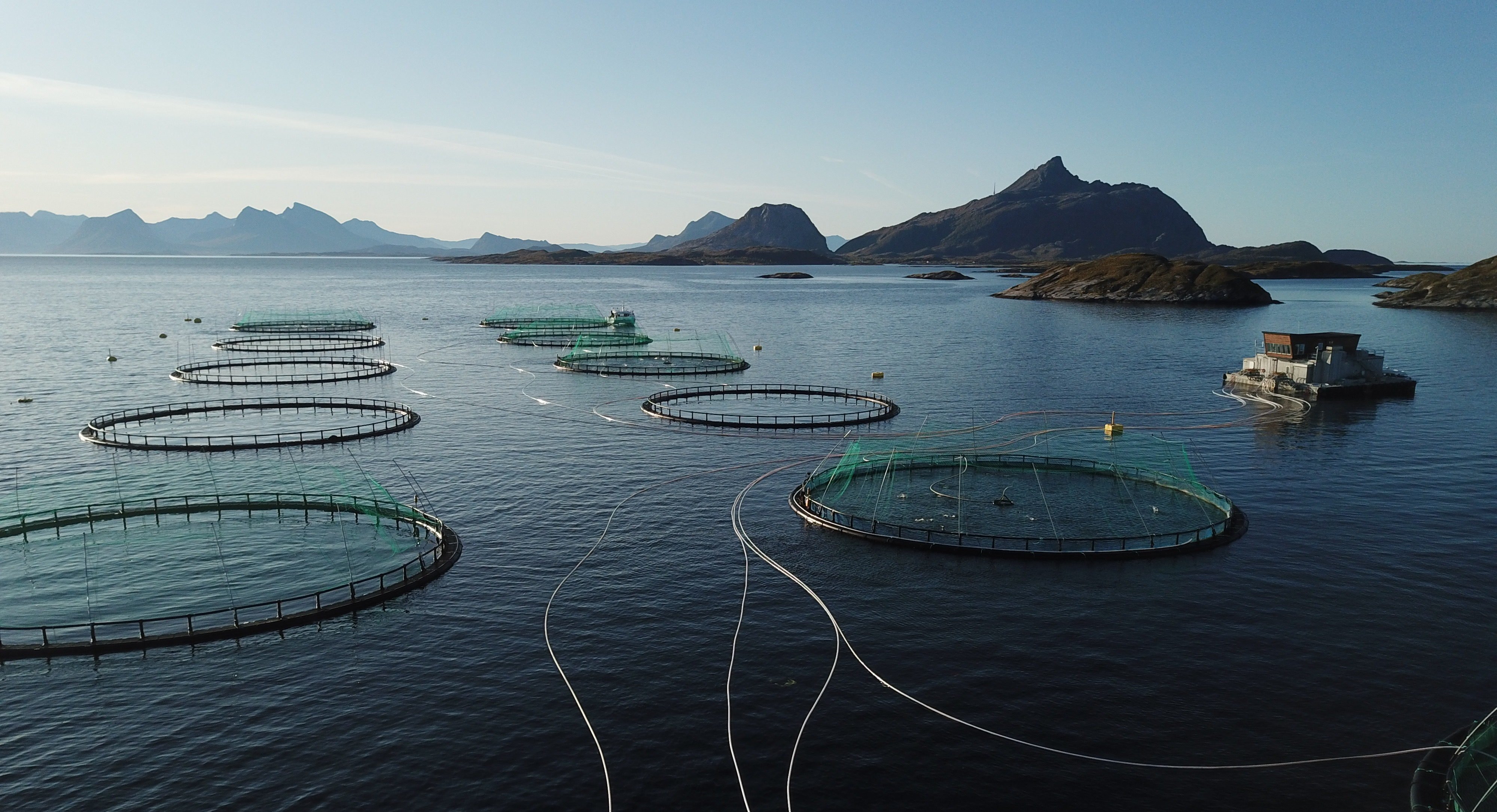 Marine Aquaculture Chain Installation